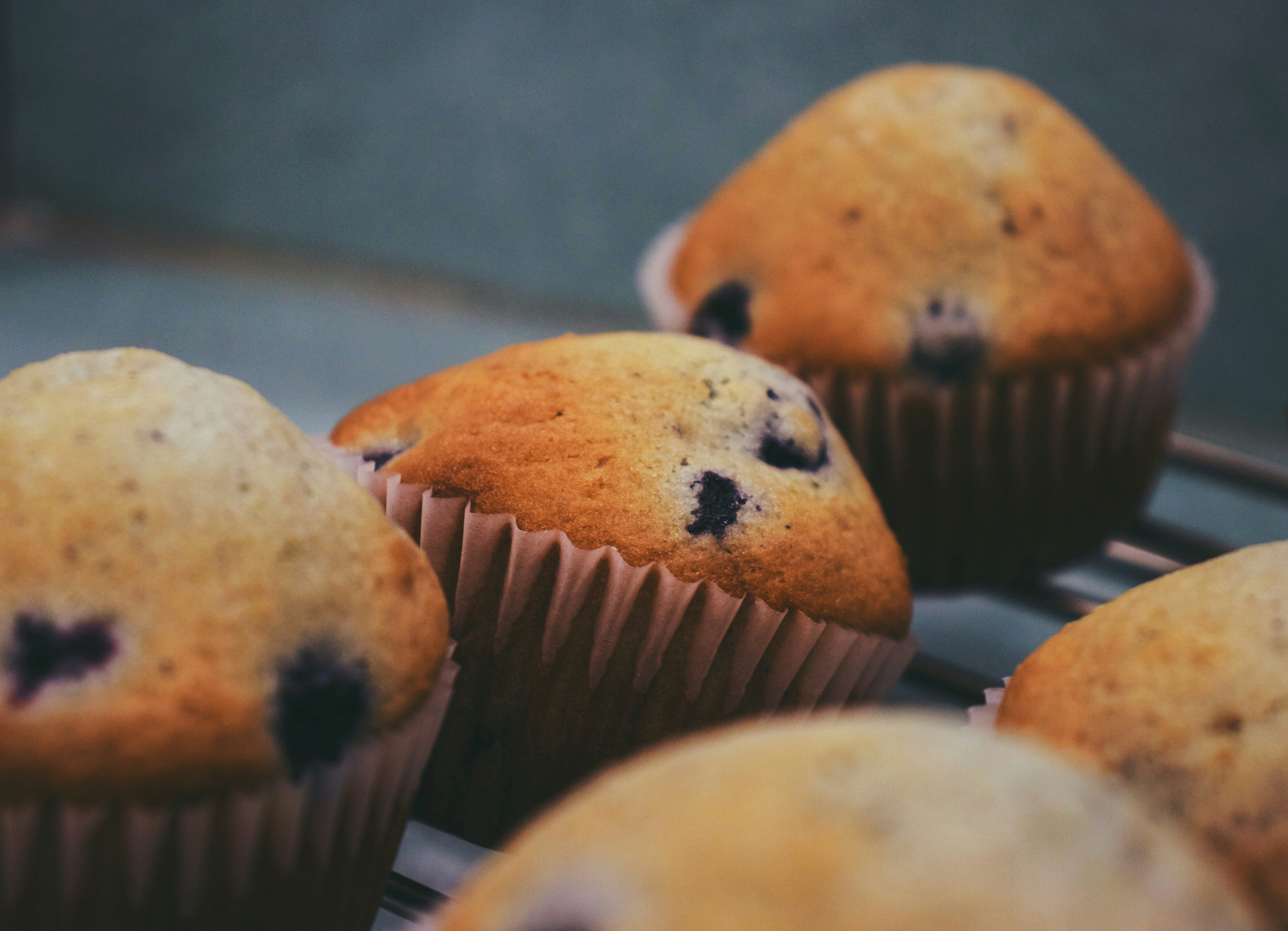 Blueberry Muffins finished dish